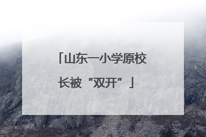 山东一小学原校长被“双开”