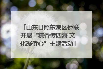 山东日照东港区侨联开展“粽香传四海 文化凝侨心”主题活动