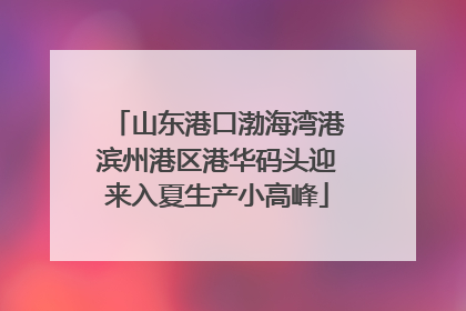 山东港口渤海湾港滨州港区港华码头迎来入夏生产小高峰