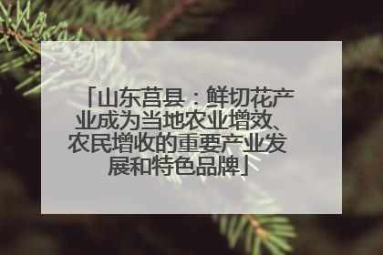 山东莒县：鲜切花产业成为当地农业增效、农民增收的重要产业发展和特色品牌