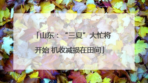 山东：“三夏”大忙将开始 机收减损在田间