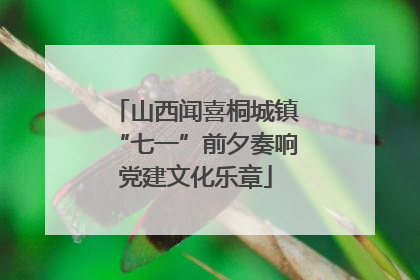 山西闻喜桐城镇“七一”前夕奏响党建文化乐章