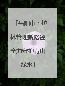 岳阳市：护林管理新路径全力守护青山绿水