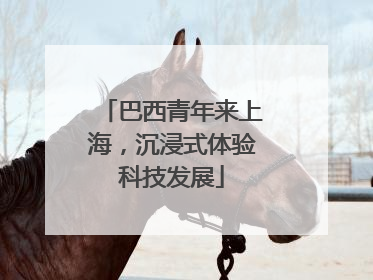 巴西青年来上海，沉浸式体验科技发展