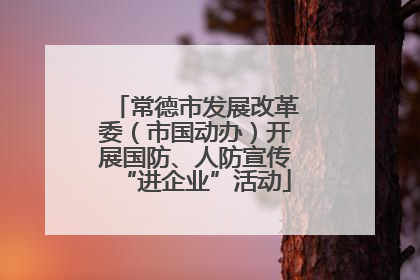 常德市发展改革委（市国动办）开展国防、人防宣传“进企业”活动