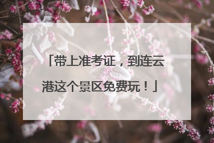 带上准考证，到连云港这个景区免费玩！