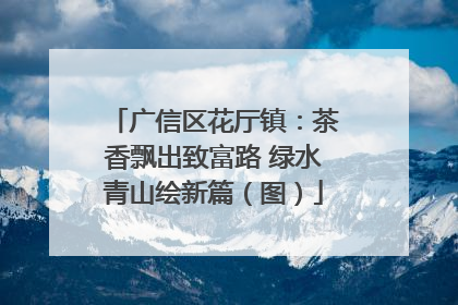 广信区花厅镇：茶香飘出致富路 绿水青山绘新篇（图）