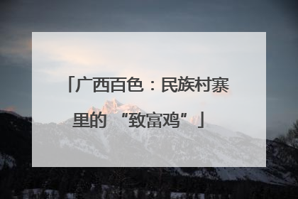 广西百色：民族村寨里的 “致富鸡”