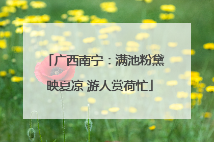 广西南宁：满池粉黛映夏凉 游人赏荷忙