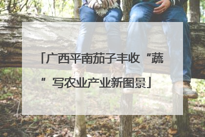 广西平南茄子丰收“蔬”写农业产业新图景