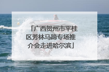 广西贺州市平桂区芳林马蹄专场推介会走进哈尔滨
