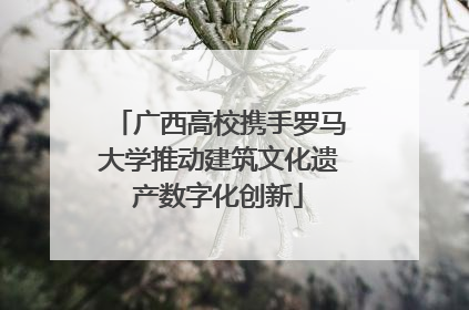 广西高校携手罗马大学推动建筑文化遗产数字化创新