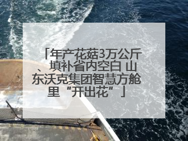 年产花菇3万公斤、填补省内空白 山东沃克集团智慧方舱里“开出花”