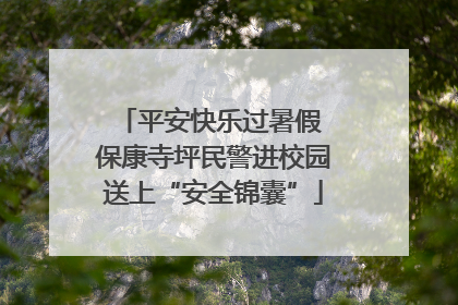 平安快乐过暑假 保康寺坪民警进校园送上“安全锦囊”