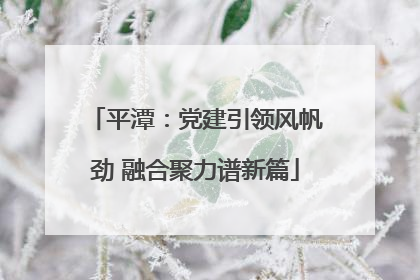 平潭：党建引领风帆劲 融合聚力谱新篇