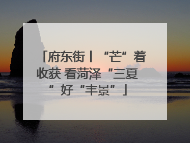 府东街丨“芒”着收获 看菏泽“三夏”好“丰景”