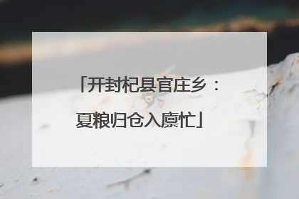 开封杞县官庄乡：夏粮归仓入廪忙