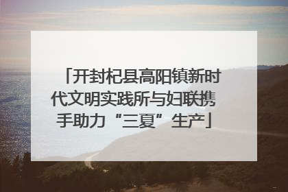 开封杞县高阳镇新时代文明实践所与妇联携手助力“三夏”生产