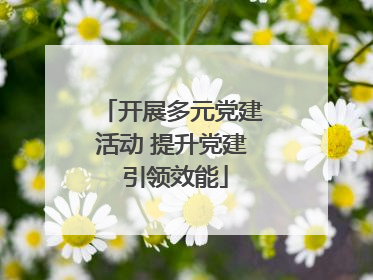 开展多元党建活动 提升党建 引领效能