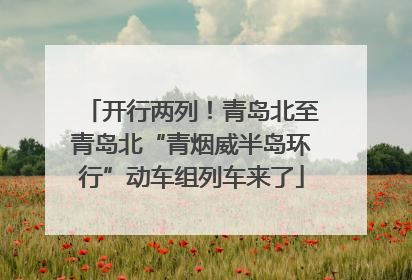 开行两列！青岛北至青岛北“青烟威半岛环行”动车组列车来了