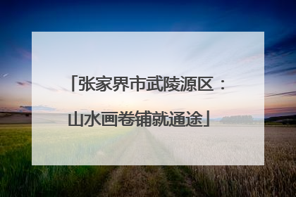 张家界市武陵源区：山水画卷铺就通途