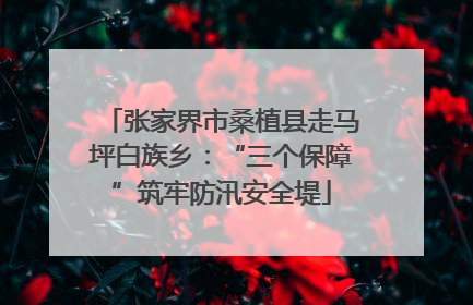 张家界市桑植县走马坪白族乡：“三个保障”筑牢防汛安全堤