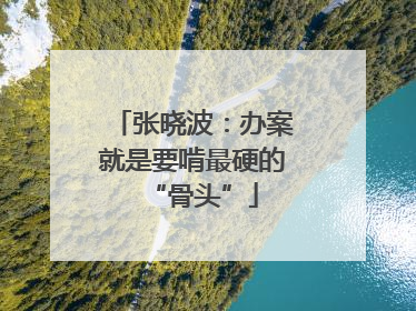 张晓波：办案就是要啃最硬的“骨头”