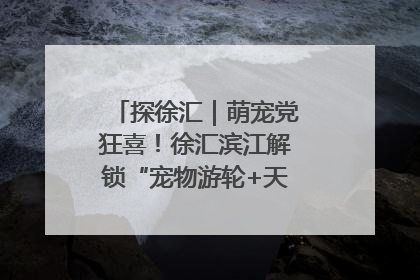 探徐汇｜萌宠党狂喜！徐汇滨江解锁“宠物游轮+天台乐园”双玩法