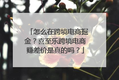 怎么在跨境电商掘金？喜至乐跨境电商赚差价是真的吗？