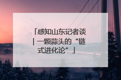 感知山东记者谈｜一颗蒜头的“链式进化论”