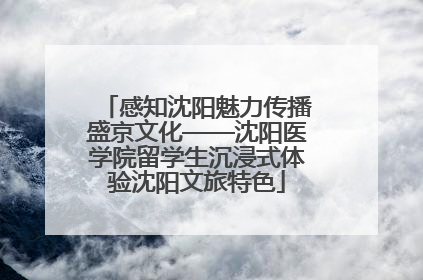 感知沈阳魅力传播盛京文化——沈阳医学院留学生沉浸式体验沈阳文旅特色