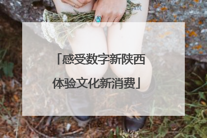 感受数字新陕西 体验文化新消费