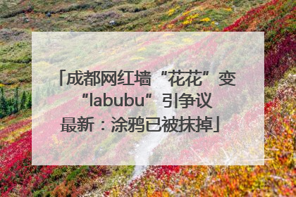 成都网红墙“花花”变“labubu”引争议 最新：涂鸦已被抹掉