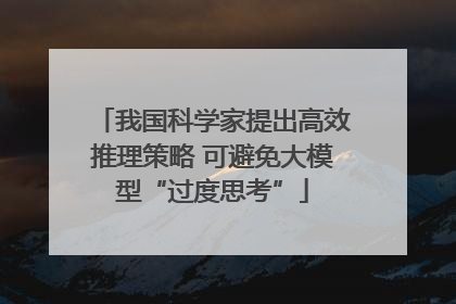 我国科学家提出高效推理策略 可避免大模型“过度思考”