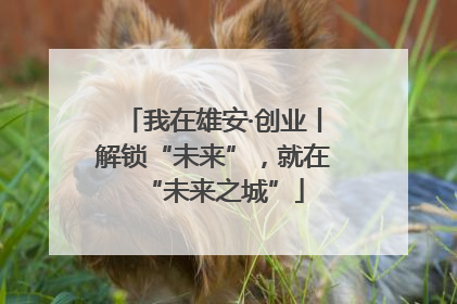 我在雄安·创业丨解锁“未来”，就在“未来之城”
