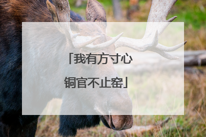 我有方寸心 铜官不止窑