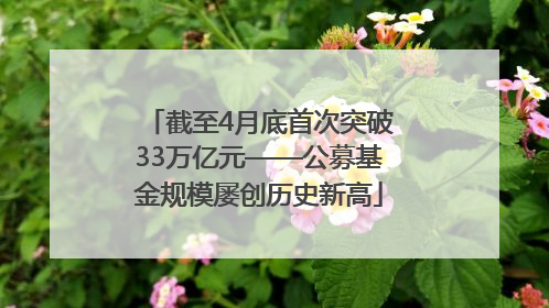 截至4月底首次突破33万亿元——公募基金规模屡创历史新高