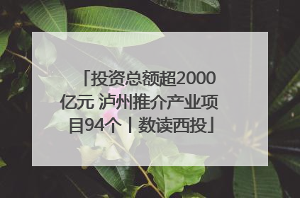 投资总额超2000亿元 泸州推介产业项目94个丨数读西投