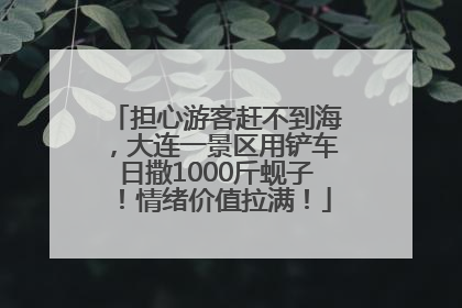 担心游客赶不到海，大连一景区用铲车日撒1000斤蚬子！情绪价值拉满！