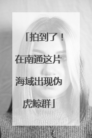 拍到了！在南通这片海域出现伪虎鲸群
