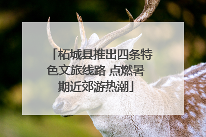 柘城县推出四条特色文旅线路 点燃暑期近郊游热潮