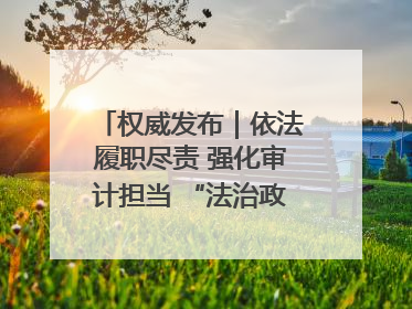 权威发布｜依法履职尽责 强化审计担当 “法治政府建设”主题系列新闻发布会市审计局专场召开
