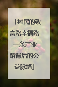 村民的致富路幸福路 一条产业路背后的公益脉络