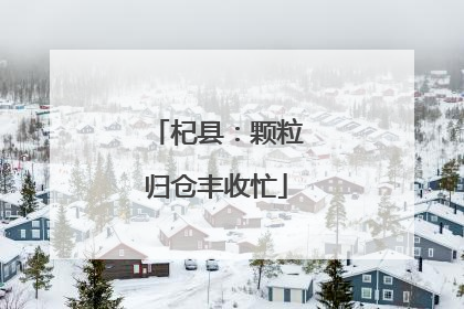 杞县：颗粒归仓丰收忙