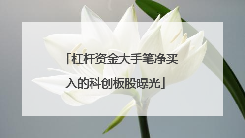 杠杆资金大手笔净买入的科创板股曝光