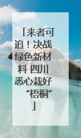 来者可追！决战绿色新材料 四川悉心栽好“梧桐”