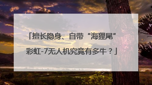 擅长隐身、自带“海狸尾” 彩虹-7无人机究竟有多牛？