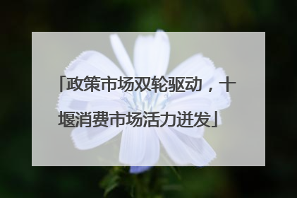 政策市场双轮驱动，十堰消费市场活力迸发