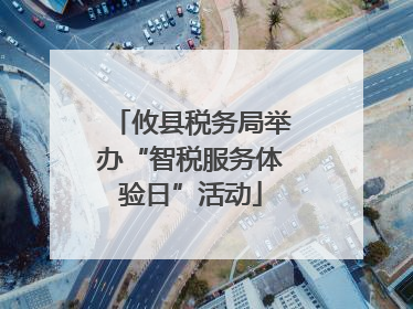 攸县税务局举办“智税服务体验日”活动