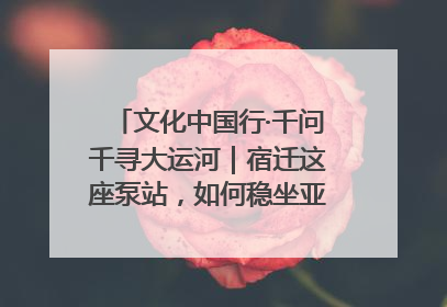文化中国行·千问千寻大运河｜宿迁这座泵站，如何稳坐亚洲第一宝座？